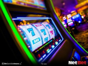 turtlepg - Slot Bet Oficial