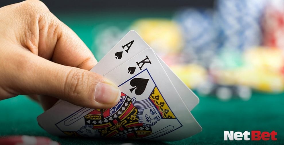 turtlepg - Cassino Bet Oficial