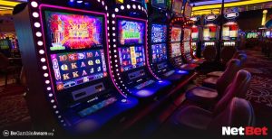 turtlepg - Slot Oficial Bet