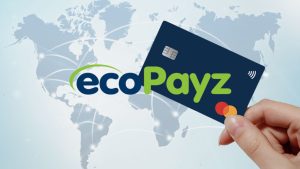 turtlepg - Login Fácil Oficial